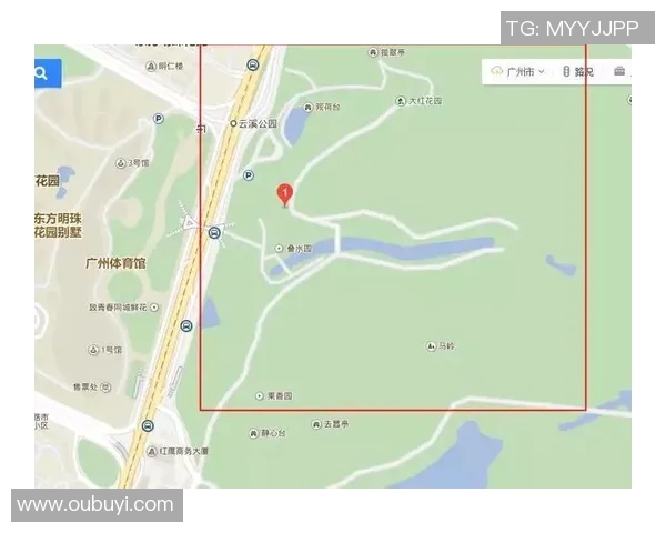 广州足球队运营现状分析与未来发展策略探讨 广州足球队运营现状分析与未来发展策略探讨