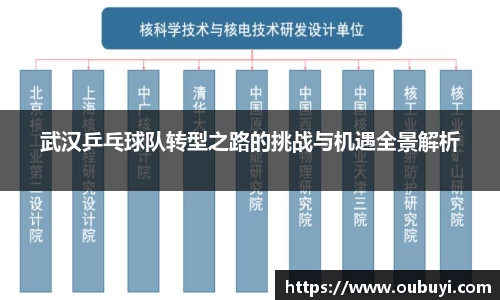 武汉乒乓球队转型之路的挑战与机遇全景解析