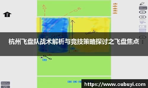 杭州飞盘队战术解析与竞技策略探讨之飞盘焦点